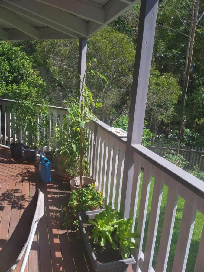 Near To Everything Yet In A Rainforest Setting Tewantin Exterior foto